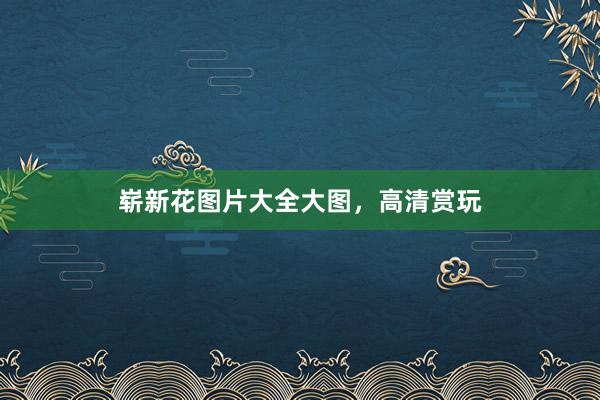 崭新花图片大全大图，高清赏玩